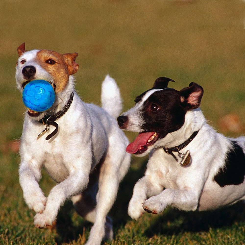 Dog Chew Toy Pet Squeak Ball Waterproof Sound Toys