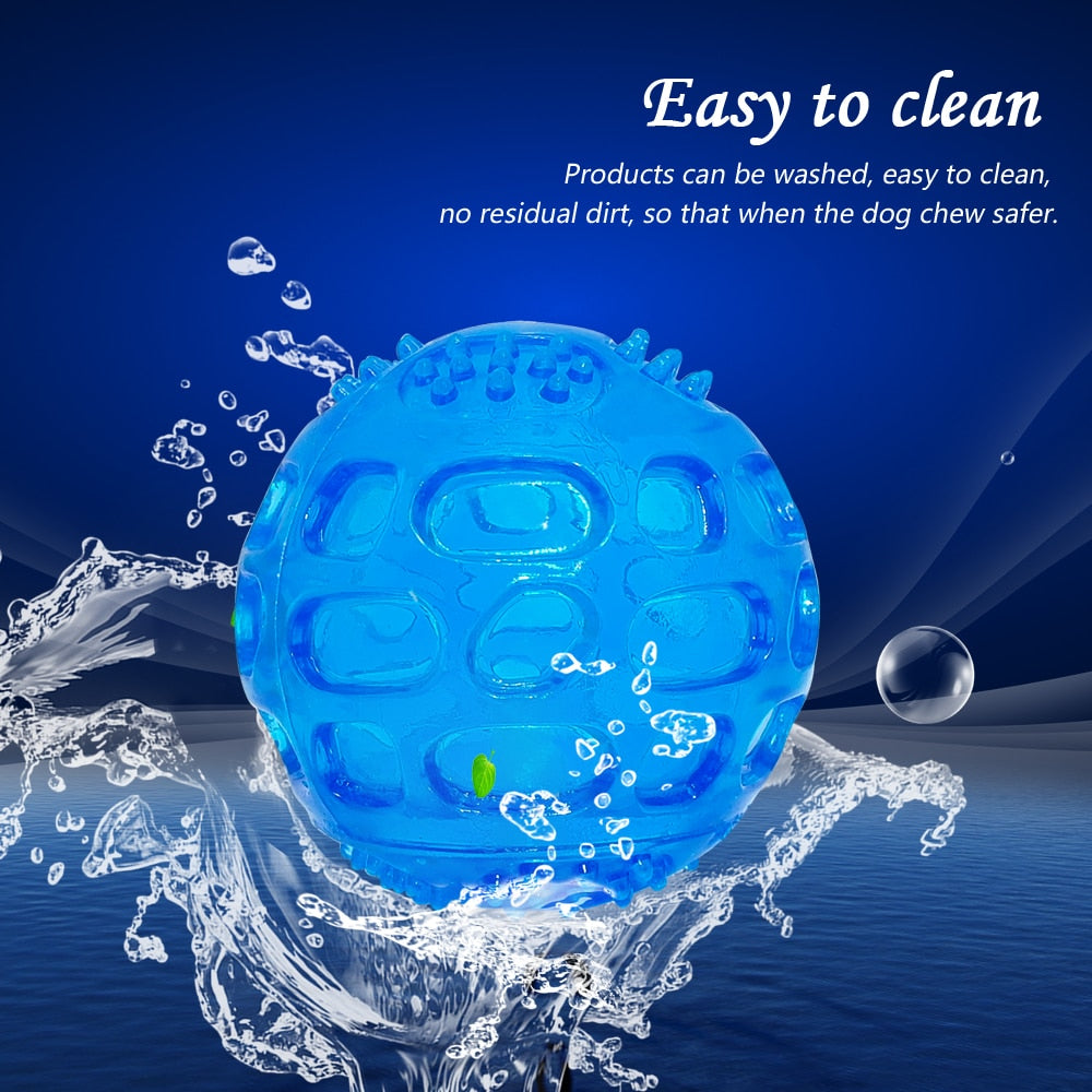 Dog Chew Toy Pet Squeak Ball Waterproof Sound Toys