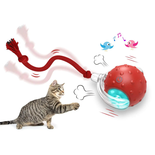 Interactive Cat Toy Ball Super Drive Cat Rolling Balls with Bird Chirping Motion Activated Sensor Pet Kitten Teaser Game Toys